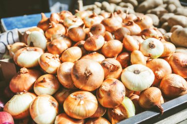  Çiftçi pazarında ortak soğan yığını 