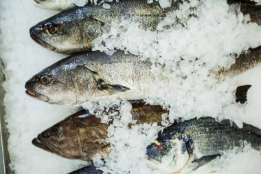 Balık pazarında buz üzerinde çiğ deniz ürünleri