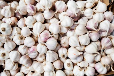 Sarımsak sağlıklı sebze 