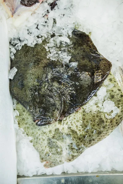 Rauwe vis op ijs op de vismarkt — Stockfoto