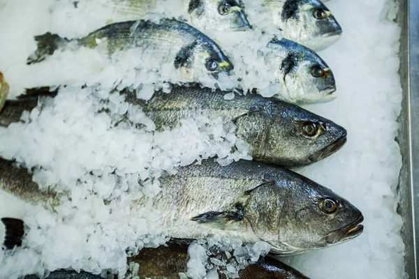 Rauwe vis op ijs op de vismarkt — Stockfoto