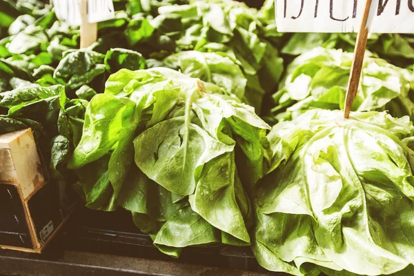 Lettuce fresh healthy food — Stock Photo, Image