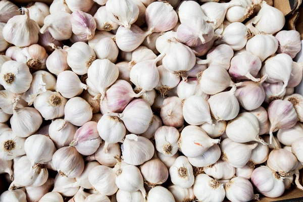 Sarımsak sağlıklı sebze 