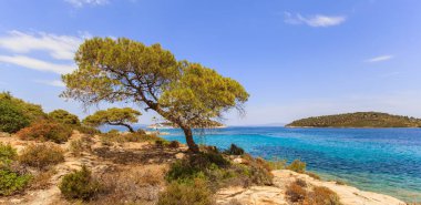 Halkidiki Yunanistan'da Sithonia sahil güzel yaz deniz manzarası görünümü