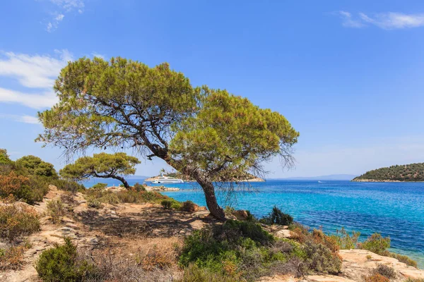 Όμορφη καλοκαιρινή παραλιακή θέα της ακτής στη Σιθωνία της Χαλκιδικής — Φωτογραφία Αρχείου