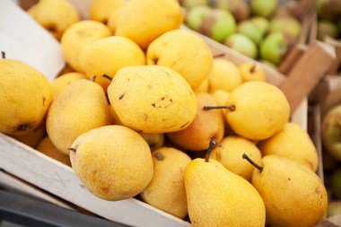  taze olgun organik sarı armut yerel çiftçi pazarı