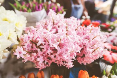 Taze Bahar Buket Idamı Açık Pazarda Satılık Hyacinths