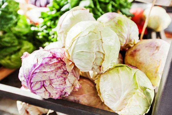 Fresh cabbage at local farmers market stall — Stock Photo, Image