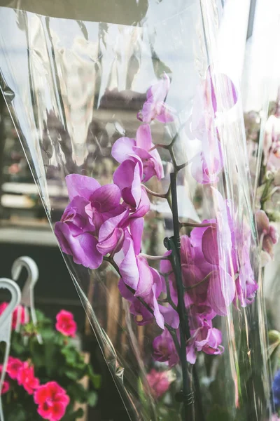 Tienda de flores al aire libre, ramo de orquídea púrpura para la venta —  Fotos de Stock