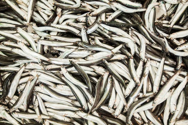 Hoop sardines op de lokale vismarkt klaar voor verkoop — Stockfoto