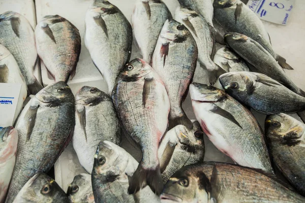 Rauwe Dorada zeevruchten op ijs op de vismarkt — Stockfoto