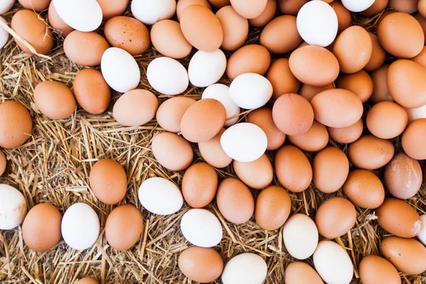 Huevos domésticos frescos en el mercado de agricultores locales listos para la venta — Foto de Stock