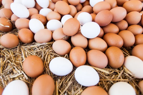 Ovos domésticos frescos no mercado local dos agricultores prontos para venda — Fotografia de Stock