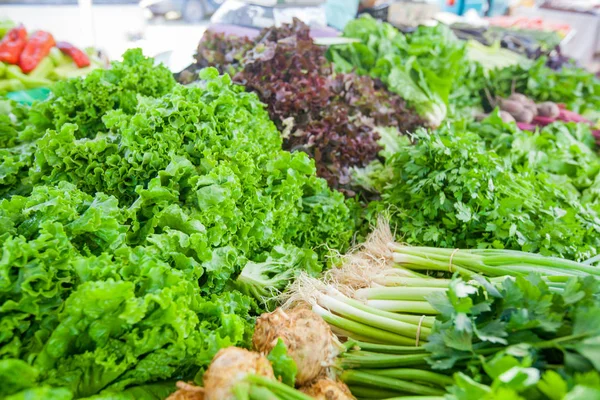 Fresh healthy organic food at local green farmers market — Stock Photo, Image