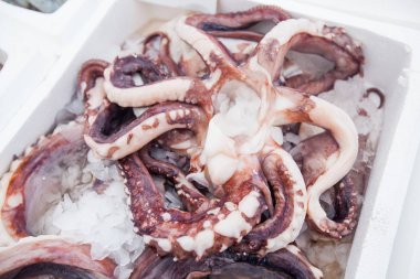 Yerel balık pazarında Satılık taze ahtapot