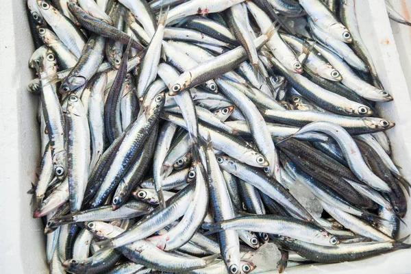 Heap de sardinhas no mercado de peixe local pronto para venda — Fotografia de Stock