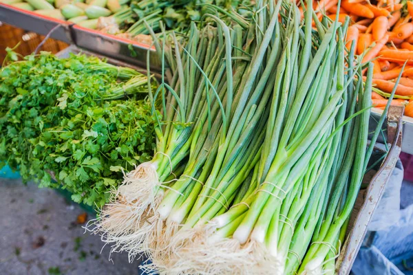 Grüne Zwiebel auf dem örtlichen Bauernmarkt — Stockfoto
