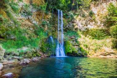 Yaz günü ormanda doğal havuzlu şelale