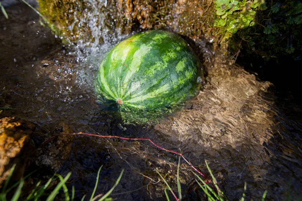 Refrigerar da melancia na água clara da mola — Fotografia de Stock