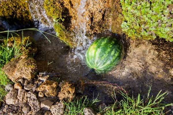 Enfriamiento de sandía en agua de manantial clara —  Fotos de Stock