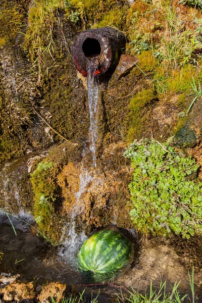 Refrigerar da melancia na água clara da mola — Fotografia de Stock