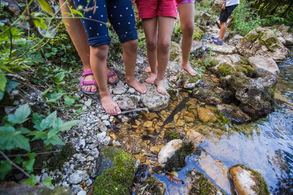 Kinderen avontuur in forest Creek in de natuur — Stockfoto