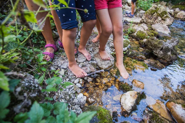 Aventura de los niños en el arroyo forestal en la naturaleza —  Fotos de Stock