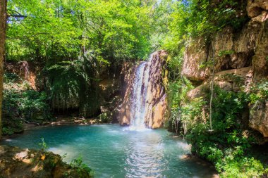 Yaz günü ormanda şelale manzara