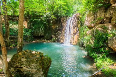 Yaz günü ormanda şelale manzara