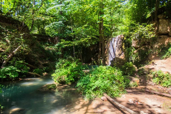 Живописный вид водопада в лесу в летний день — стоковое фото