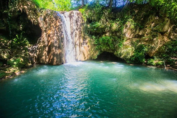 Yaz günü ormanda şelale manzara