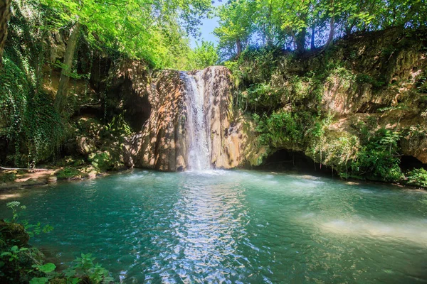 Yaz günü ormanda şelale manzara