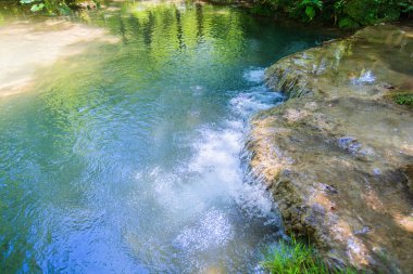Doğal ışıkta yaz ormanında su kaynağı
