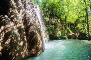 Yaz günü ormanda şelale manzara