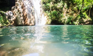 Yaz günü ormanda şelale manzara