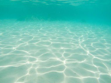 Tropikal mavi deniz sualtı sahnesi
