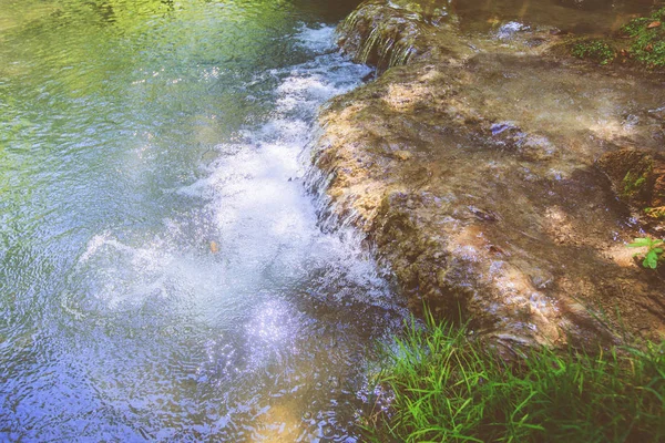 Источник воды в летнем лесу при естественном освещении — стоковое фото