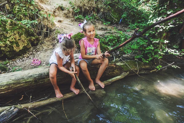 Mutlu iki kız kardeş ağaç üzerinde oturan ve Orman Deresi'nde yaz günü zevk. — Stok fotoğraf