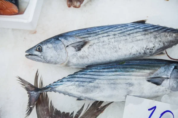 Rauwe Dorada zeevruchten op ijs op de vismarkt — Stockfoto