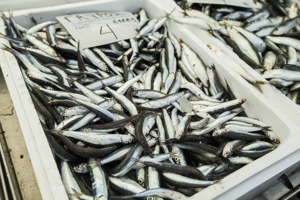 Hoop sardines op de lokale vismarkt klaar voor verkoop — Stockfoto