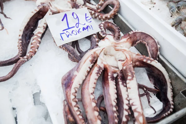 Verse octopus te koop op de lokale vismarkt — Stockfoto