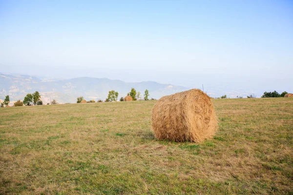 Сільський пейзаж зі стовбуром сіна — стокове фото