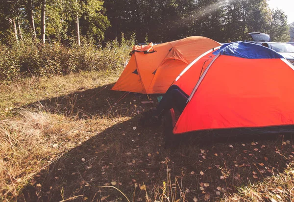 Kampeertenten op de camping in de buurt van bos op de herfstochtend zonnig daglicht — Stockfoto