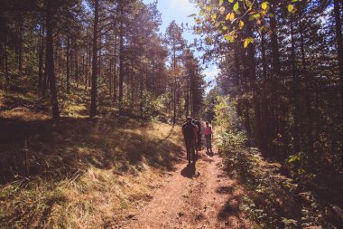 Sırt çantasıyla doğa yürüyüşü yapan tanınmayan insanların arka görüntüsü.
