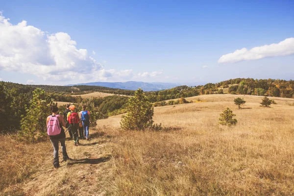 Achteraanzicht van onherkenbare mensen met rugzakwandelen in de natuur — Stockfoto