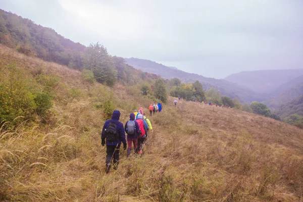 Herziening van onherkenbare mensen wandelen op een regenachtige dag in de natuur — Stockfoto