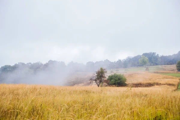 Campi rurali paesaggio — Foto Stock