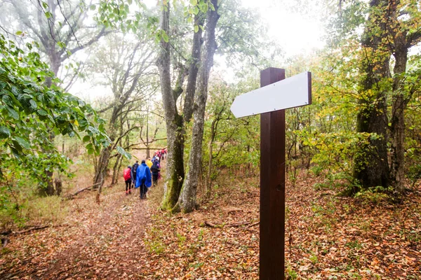Ponteiro de trilha de madeira na trilha de caminhada na floresta — Fotografia de Stock