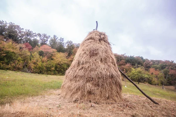 Traditional haystack at the rural farmland on an autumn day — Stock Photo, Image