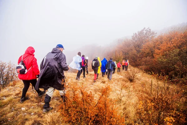 Healthy Lifestyle People Hiking In Nature